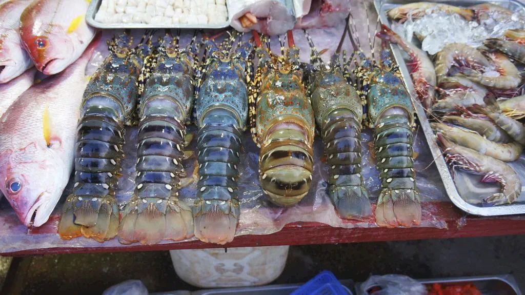 Морепродукты ночного рынка Фукуока (Дуонг Донг, Вьетнам).