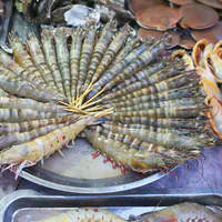 Морепродукты ночного рынка Фукуока - фото Королевских креветок на тарелке